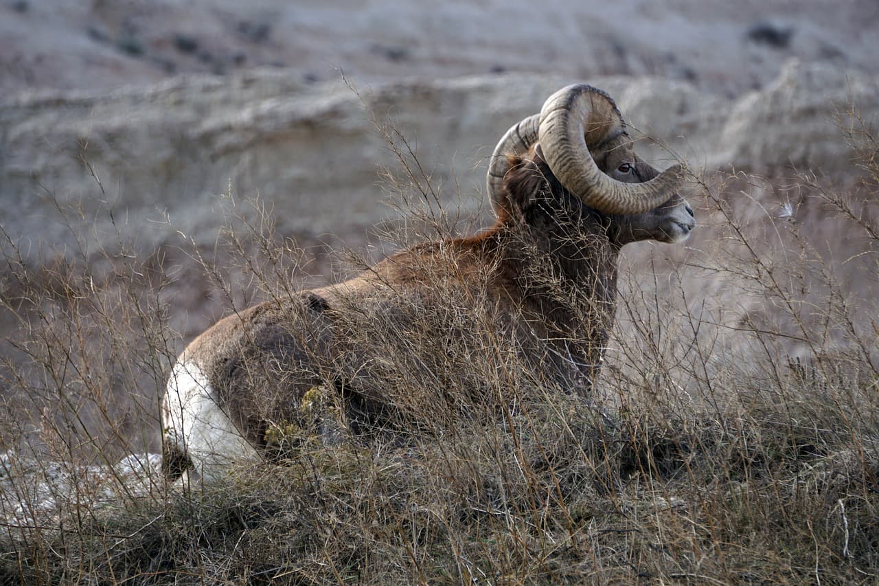 South Dakota